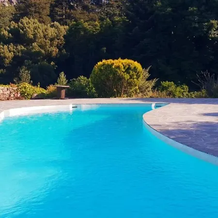 Sequoias Country House With Pool & Private Forest Holiday home Sintra